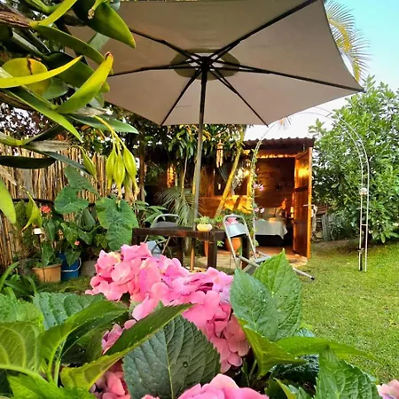 Maison d'hôtes Casa Jardin De Julia à San Juan Obispo Extérieur photo
