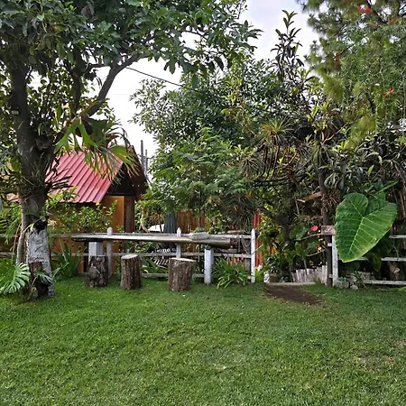 Casa Jardin De Julia Guest House San Juan Obispo Exterior photo