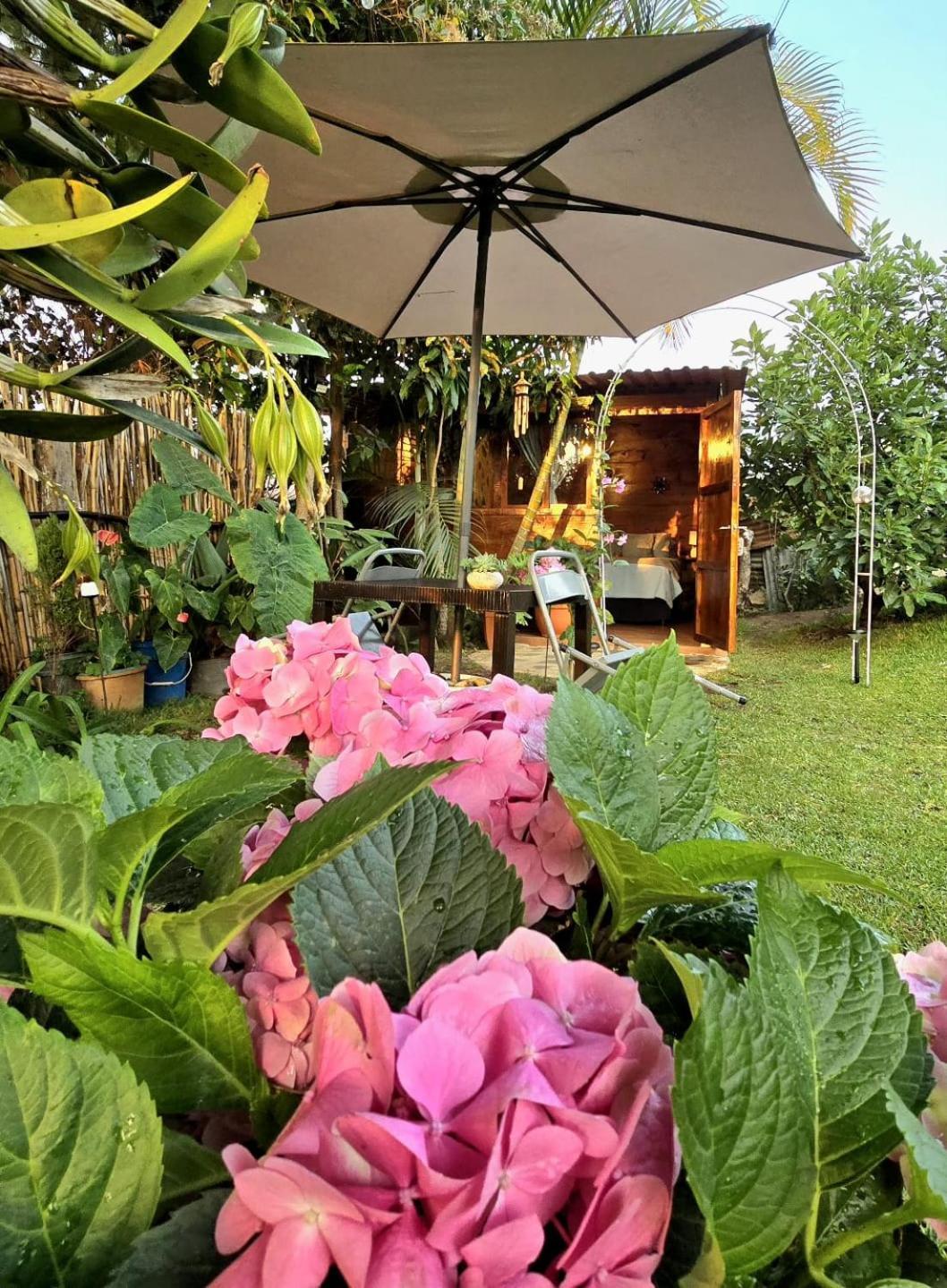 Casa Jardin De Julia * San Juan Obispo